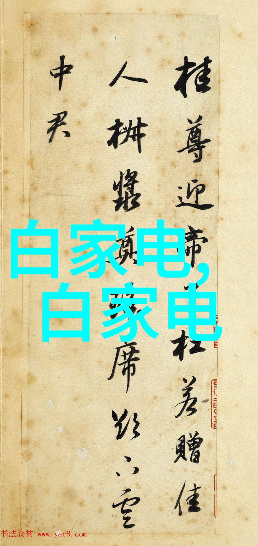 青岛职业技术学院技能教育的前沿阵地