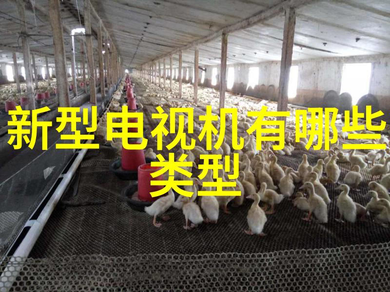 新能源汽车技术就业方向及前景新能源汽车行业职业发展趋势