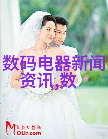 实验室用小型加热炉-微型温控艺术探索实验室小型加热炉的精细应用与创新