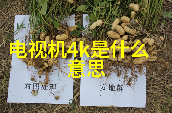光影与线条传统技法在现代机器人画像中的应用探讨