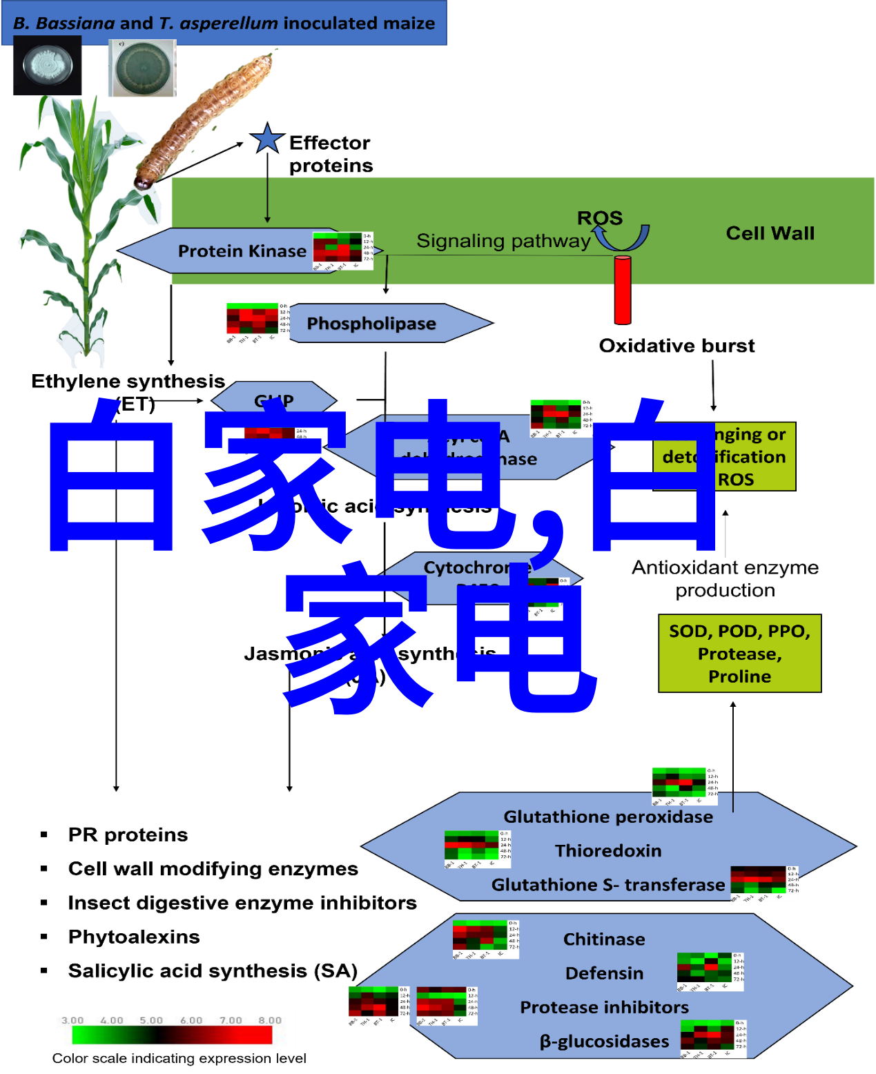 清流之源小型一体化净水设备的诗篇