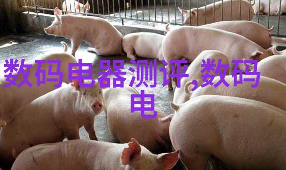 周生辰饮食宜忌乳尖美味的健康选择