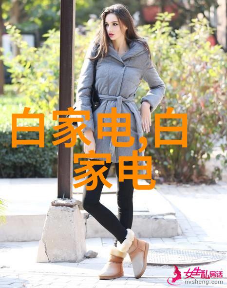 解密星闪技术未来智能家居的关键驱动力