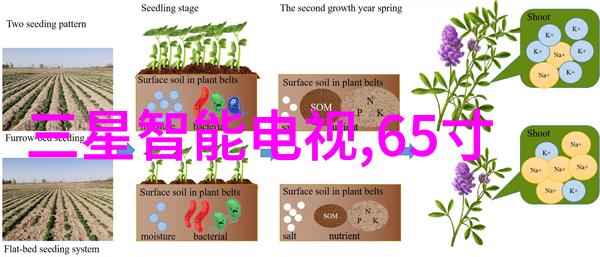 西瓜新品种-甜蜜的创新揭秘最新水果盛宴