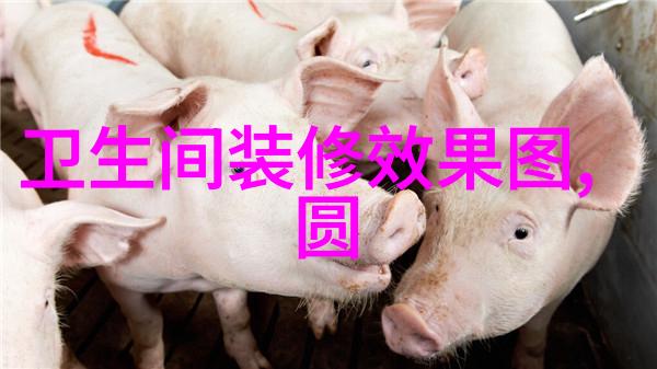 如何评价四川财经职业学院的教学质量和设施条件