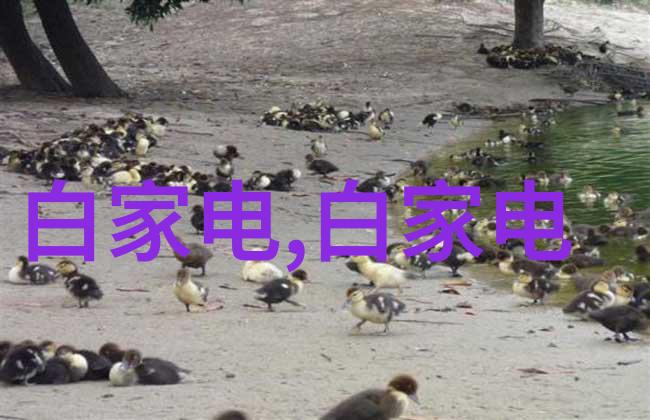 2023年28纳米芯国产光刻机开启新纪元的技术奇迹