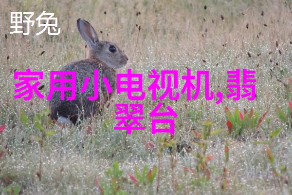 大连智网未来城市的智能交通之光