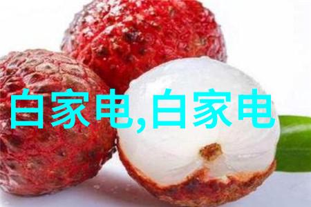芯片的层次结构简析