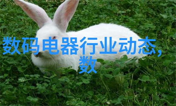 铸就卓越天津财经大学珠江学院的学术精神