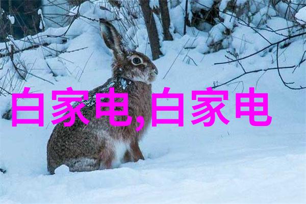 科技与娱乐-锦鲤技术活的奇迹