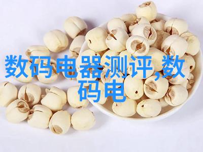 学校如何鼓励学生参与实践教学和企业实习项目