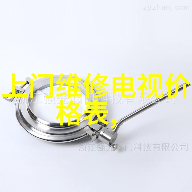 在进行水能发电项目时如何平衡环境保护与经济效益