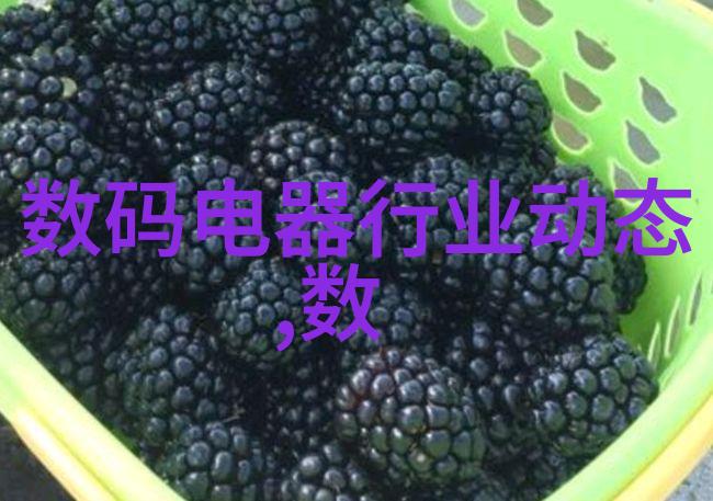 数码电器测评智能家居设备的全面解析与评测