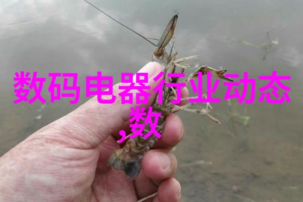 微软Win11 24H2更新AMD新处理器入局英特尔8-10代酷睿遭弃