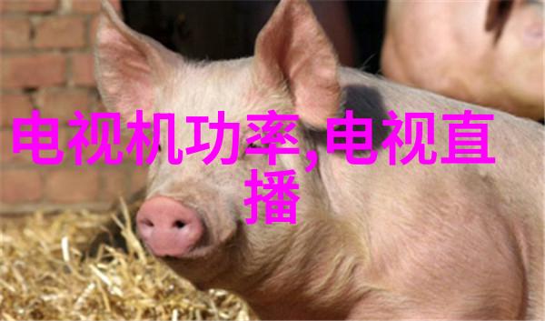 水切割机生产厂家精密工艺与创新技术的完美结合