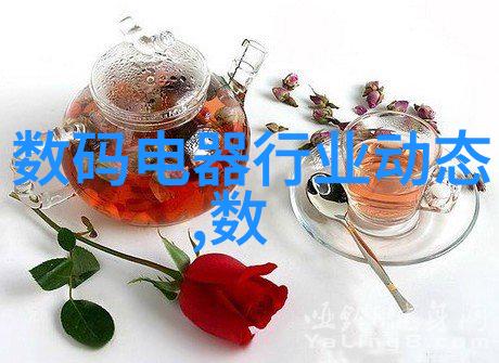 在编制项目资金请求文档时应考虑哪些潜在风险因素