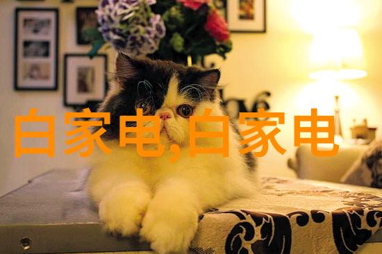 厂里拿货开小加工厂-从零到英雄我是如何在闲置工位上创业的