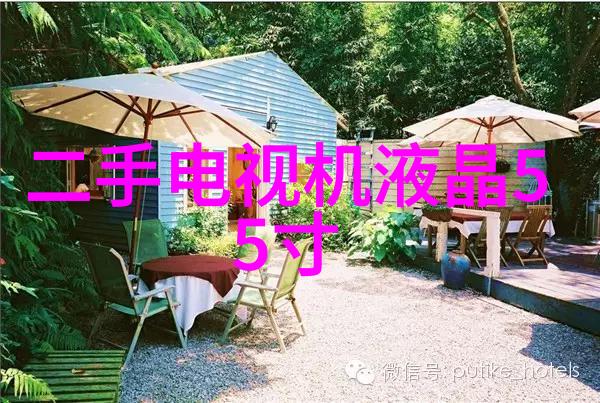 忘忧草解锁心灵的秘密花园