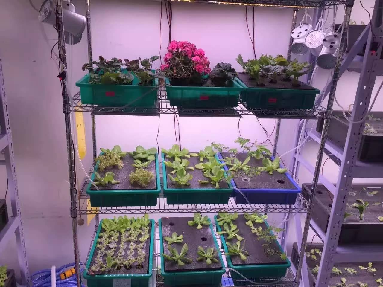 数码电器品牌排行榜_数码电器测评_数码电器测评报告/