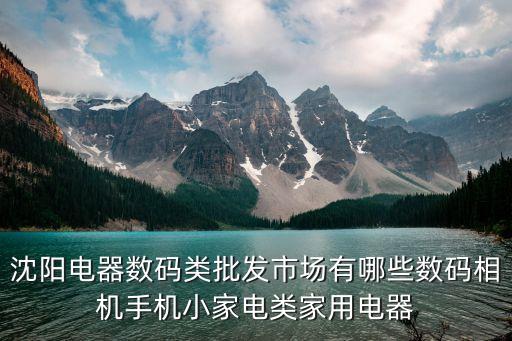 沈阳电器数码类批发市场有哪些数码相机手机小家电类家用电器/