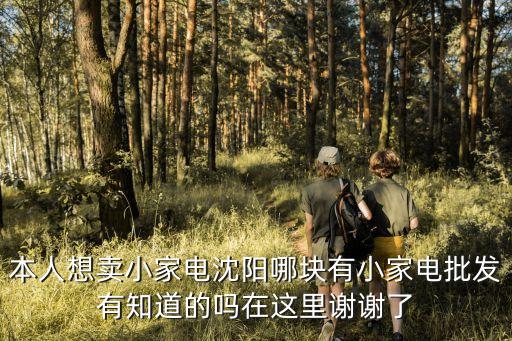 本人想卖小家电沈阳哪块有小家电批发有知道的吗在这里谢谢了/